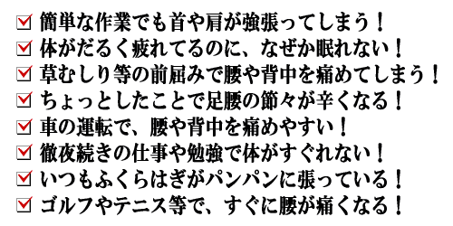 軽い作業でも首や肩が痛む、体がいつもだるく不眠気味、すぐに腰や背中を痛める、膝や腰の節々が弱っている、ゴルフやテニスで腰が辛くなる、そんな時はバイオイーザーをお試し下さい。